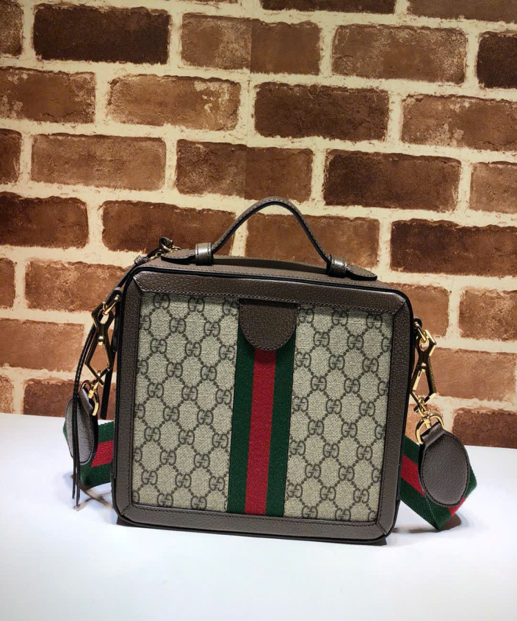 Bag Gucci 550622